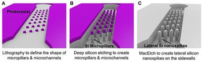 Interactions of Bacteria With Monolithic Lateral Silicon Nanospikes Inside a Microfluidic Channel